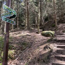 Daniela Löffler - Zschirnstein Trail
