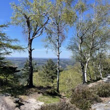 Daniela Löffler - Zschirnstein Trail