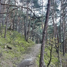 Andrea Mondini - Meraner Waalwege (Italy)