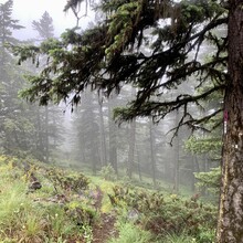 Mike Sidic - Okanagan High Rim Trail (BC, Canada)