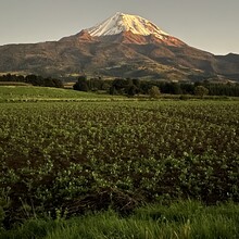 Joseph DeMoor - Pico de Orizaba (Mexico)