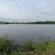 Mandi Pralle - Run Across Iowa (IA)