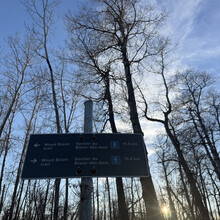 Victoria Perron - Wood Bison Trail (AB, Canada)