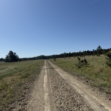Erin Good - Iron Spring Trail (MT)