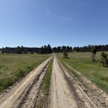 Erin Good - Iron Spring Trail (MT)
