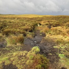 Chelseay Markow - The Severn Way