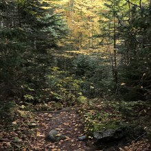 Nina Silitch - Kinsman Ridge Trail (NH)
