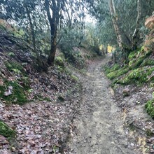 Sue Lord - North Downs Way (United Kingdom)