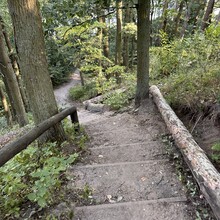 Harald Van Engeland - Czerwony szlak Osowa Góra -Sulęcinek