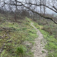 Sue Lord - North Downs Way (United Kingdom)