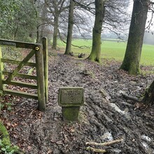 Sue Lord - North Downs Way (United Kingdom)