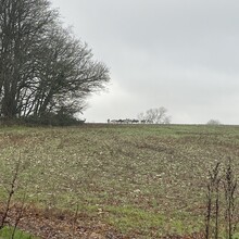 Sue Lord - North Downs Way (United Kingdom)