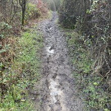 Sue Lord - North Downs Way (United Kingdom)