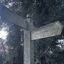 Sue Lord - North Downs Way Loop