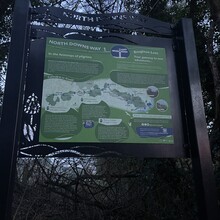 Sue Lord - North Downs Way Loop