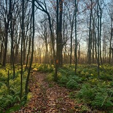 Misty Nielsen - Susquehannock Trail System Loop, Southern Gateway (PA)