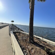 Patrick Couchot - The Courtney Campbell Trail- Clearwater to Tampa and Back