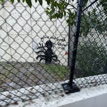 Patrick Couchot - The Courtney Campbell Trail- Clearwater to Tampa and Back