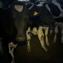 Chelseay Markow - The Severn Way