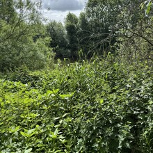 Chelseay Markow - The Severn Way