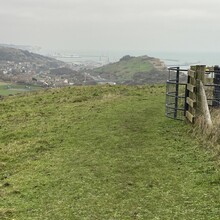 Sue Lord - North Downs Way Loop