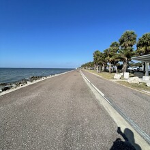 Patrick Couchot - The Courtney Campbell Trail- Clearwater to Tampa and Back