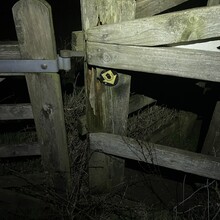 Sue Lord - North Downs Way Loop