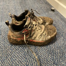 Sue Lord - North Downs Way (United Kingdom)