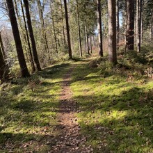 Lukas Burrer - Der Kleine Hansjakobweg