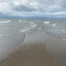 Chantal Demers - Point Pelee National Park, Centennial Trail + Tip (ON, Canada)