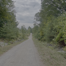 Lynnsey Martin - Northern Rail Trail (NH)