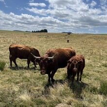 Jean Torrens - GR30 Tour des Lacs d'Auvergne (France)