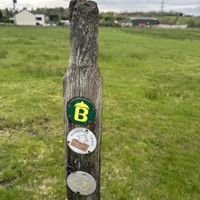 Adam Wilcock - The Burnley Way