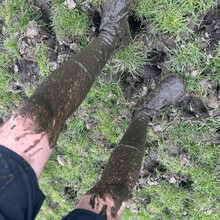 Adam Wilcock - The Burnley Way