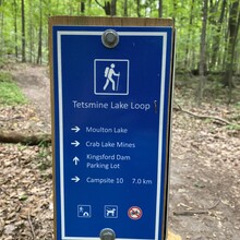 Laura Headley - Frontenac Provincial Park - North