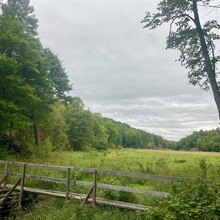 Laura Headley - Frontenac Provincial Park - North