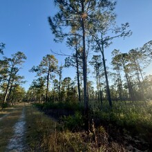 Jack DeLoach - Trail of Payne