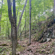 Laura Headley - Frontenac Provincial Park - North