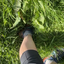 Emma Hooper, Sue Lord - Limestone Link (UK)