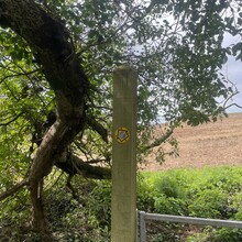 Emma Hooper, Sue Lord - Limestone Link (UK)