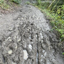 Emma Hooper, Sue Lord - Limestone Link (UK)