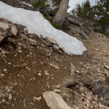 Rob Manley - The Mighty U