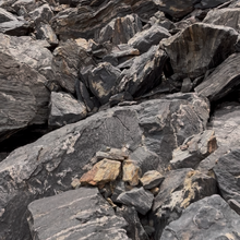 Rob Manley - The Mighty U