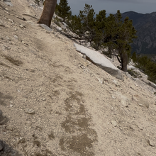 Rob Manley - The Mighty U