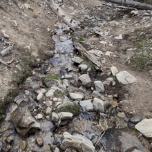 Rob Manley - The Mighty U