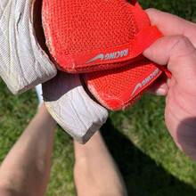 Will Brewster - Millennial, Grayslake, & Casey Trail (IL)