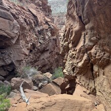 Courtney Clifton - Big Dominguez and Little Dominguez Canyon Loop (CO)
