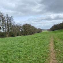 Leonie Ansems de Vries - Greensand Ridge Walk (United Kingdom)