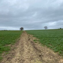 Leonie Ansems de Vries - Greensand Ridge Walk (United Kingdom)