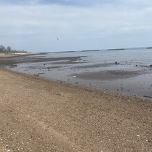 Vincenzo Maisano - Staten Island Perimeter (NY)